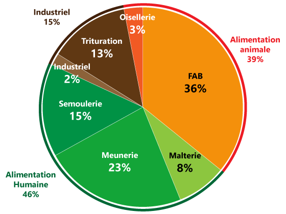 PISSIER_SA_Les_débouchés_de_la_commercialisation_des_céréales